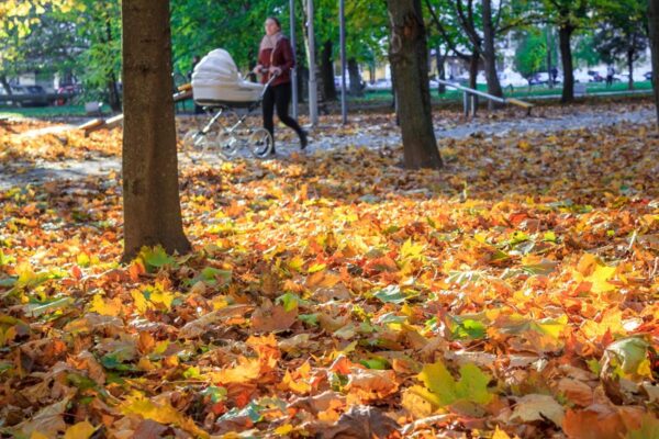 Cărucior sau marsupiu? Ce alegi pentru plimbările din sezonul rece